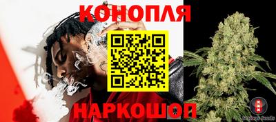 МДПВ Свободный